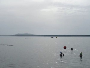 Laguna di Levante, Orbetello (GR)